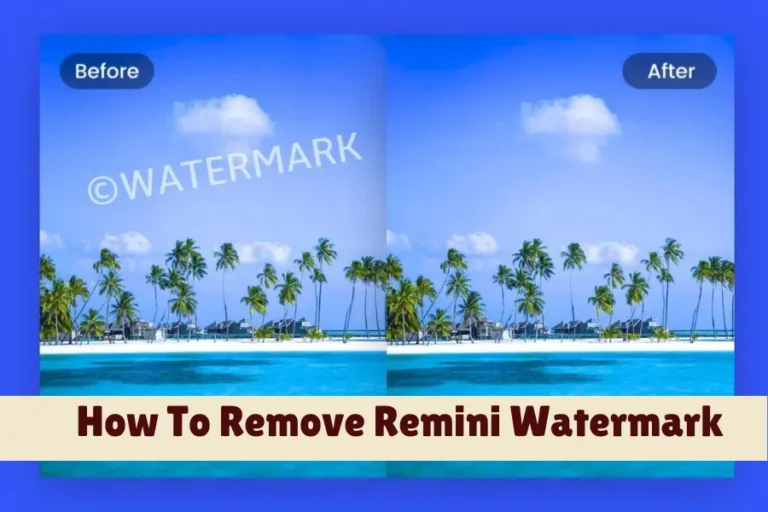 How To Remove Remini Watermark [3 Methods]