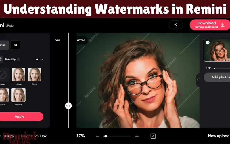 Understanding Watermarks in Remini