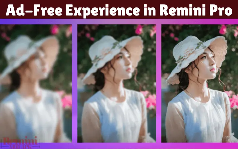 Ad-Free Experience in Remini Pro