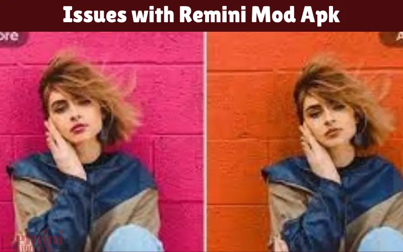 Issues with Remini Mod Apk