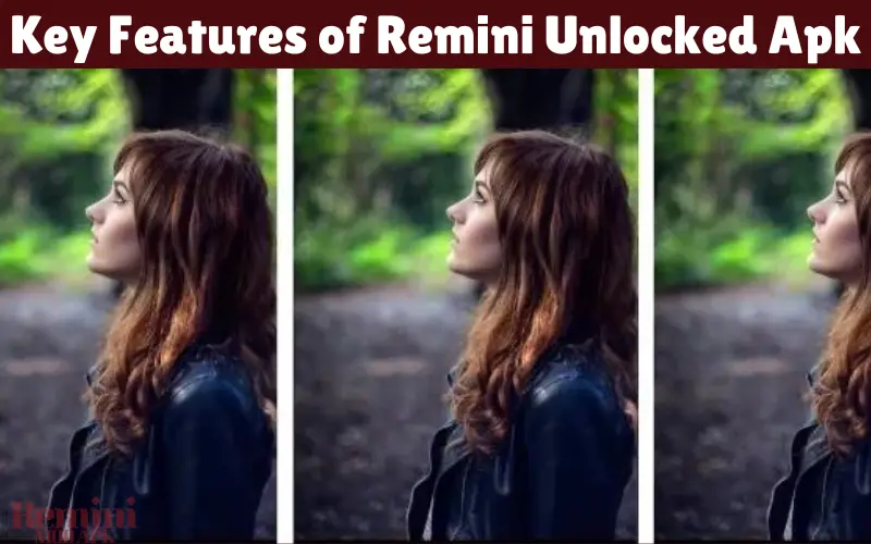 Key Features of Remini Unlocked Apk