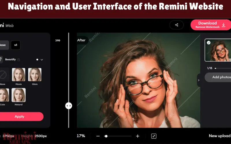 Navigation and User Interface of the Remini Website