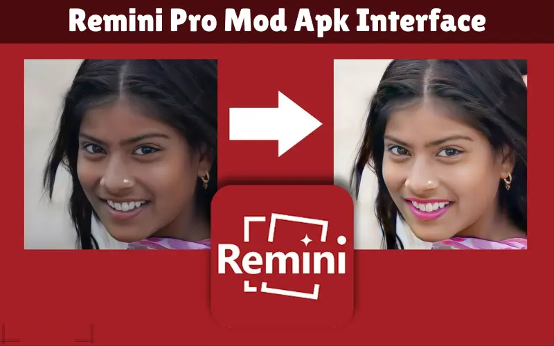 Remini Pro Mod Apk Interface