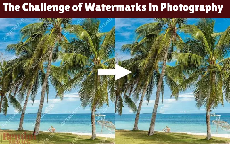 The Challenge of Watermarks in Photography