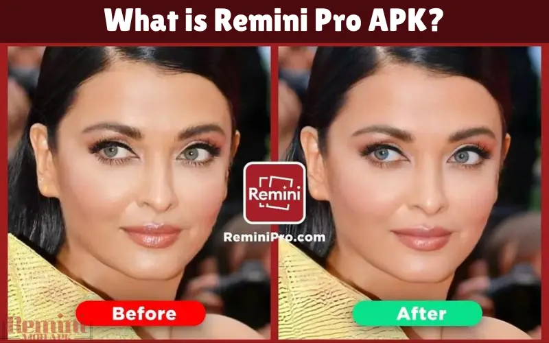 What is Remini Pro APK