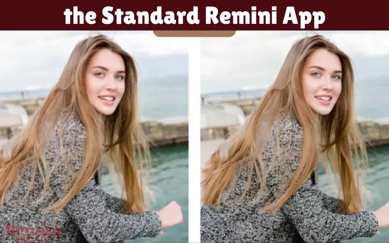 the Standard Remini App